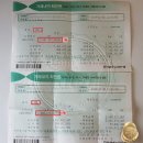 로또 1등 20게임 이상 나온 1등 번호 살펴보기…로또 1등 50명이 나올 때는 몇 회차? 이미지