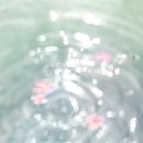 네일이빛나 - 광산구 목련로273번길 23 | 네일이빛나