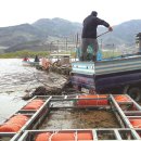 황소환경자원 이미지