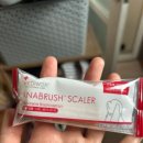 메디웍스 | 강아지 양치&#39;메디 웍스 아나브러쉬&#39; 포메 납작 두상용 (내돈내산 후기)