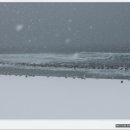 강문바다 이미지