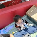 15개월 아기랑 수원 위즈파크 다녀온 후기 외야석 익사이팅석 비교