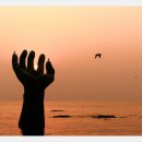 바른몸의원 이미지