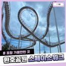 환호공원 스페이스워크 후기 아이와 함께 포항 여행