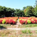 난지천공원 이미지