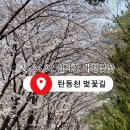 탄동천-2 이미지