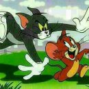 톰과제리 이미지