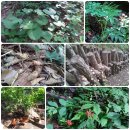 수만농장 이미지