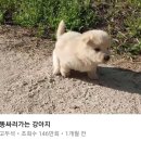 부자정식 이미지