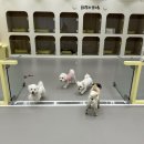 룰루랄라 댕치원 이미지