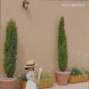 이솝 키즈풀빌라 펜션 | 경주펜션 이솝키즈풀빌라펜션 아이와 함께 즐기는 공간