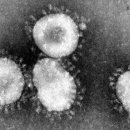 으뜸50안경신촌점 이미지
