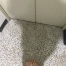 순종아구랑동태찜 이미지