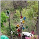 숲속의 휴식 이미지