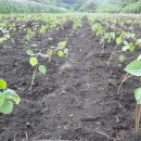 맷돌농장 이미지