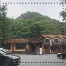 청풍황금송어 이미지