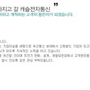 캐슬전자통신