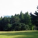 현충원로(유성-18) 이미지