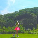 성남이천로 | 강원도 횡성 벨라45cc 오너스 A&amp;B 코스