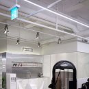 고릴라짐 이미지