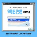 초코약국 이미지