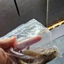 J&D 실내바다낚시터 이미지