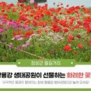 황룡강생태공원 Daum카페
