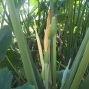 승준농장(2) 이미지