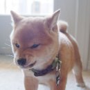 성은장여관 이미지