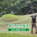 성일조경 이미지