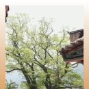 정일 여관 | 일로향난 어찌나 재밌던지... 카~