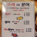 소라인(in)문어 이미지