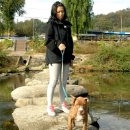 소영이네 이미지