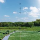 물의 기억 이미지