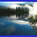 마루마리 이미지