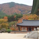 운문사 - 1733 | 운문사