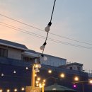 복이있는덕포시장 | 부산 덕포시장 아시안 나이트마켓, 현지 분위기 물씬! 이색 나이트마켓 후기