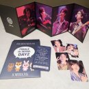 버들곡 | [콘서트 후기] DAY6 콘서트 서울 KSPO DOME 좌석리얼후기🎸 2층 47구역 2열 시야, 세트리스트까지!