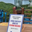 중리 | 진천 농다리 축제 다녀온 후기(출렁다리+인공폭포까지 완벽 코스)