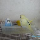 천우목욕탕