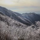 노고단-12 이미지