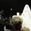 강성진 축사 뉴시스