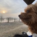 놀러왕왕왕 이미지