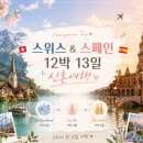 123 | 신혼여행 시작 | 스위스 국제 항공 LX123 후기, 체크인부터 기내식 대만족
