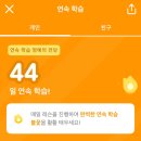 홍그루밍 | 먹고 또 먹고
