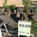 그림상회 스테이 이미지