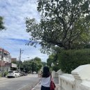 호텔리젠시 나이트 | 치앙마이 태교여행 DAY13. 바트커피, 쿤캐쥬스바, 캄빌리지,블루누들,아카아마 커피, 나이트바자