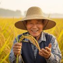 부안농협미곡종합처리장 | 신동진쌀 구매 가이드 도정 날짜 확인법과 등급별 차이 완벽 정리