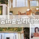 숲콕플랜트