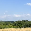 한국아그로 이미지